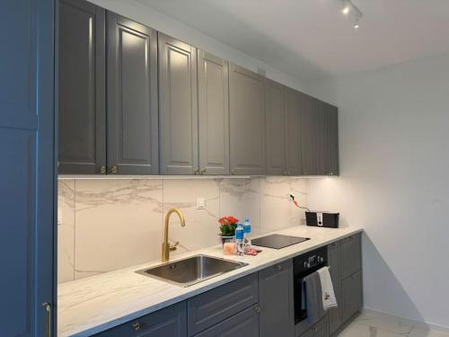 a kitchen with gray cabinets and a sink at Glamour Apartment in Ochota in Warsaw