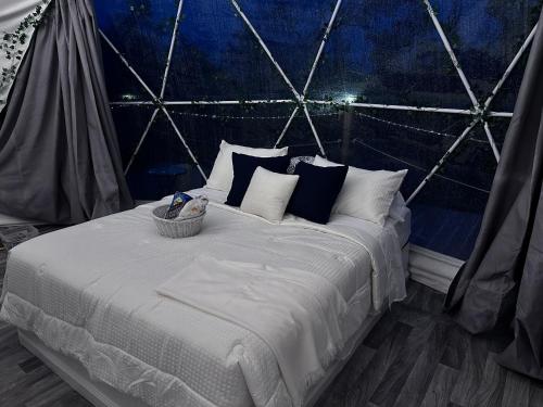 ボルケーノにあるVolcano Forest Resortの青い壁のベッドルーム1室(大型ベッド1台付)