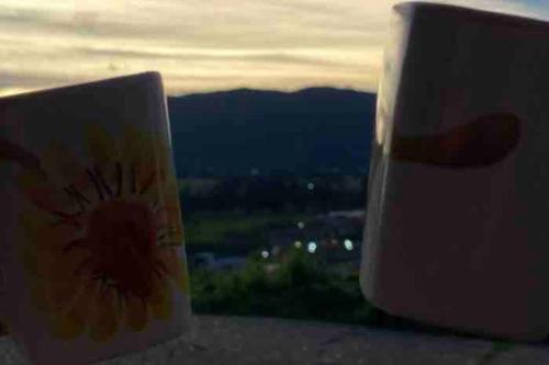 a cup of coffee sitting next to a mug with a flower on it at Alojamiento/Lodging:El Indio Ese in Sopo
