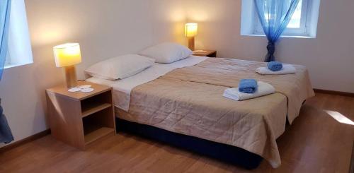 Ένα ή περισσότερα κρεβάτια σε δωμάτιο στο Apartments with parking space Prozura, Mljet - 22331