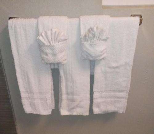 a group of white towels hanging on a towel rack at Downtown Inn in Wenatchee