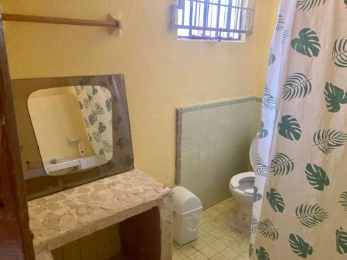 y baño con lavabo, espejo y aseo. en Hostal Republic, en Mérida