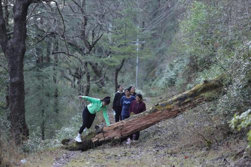 a group of people walking on a log in the woods at The Oasis Mussoorie - A Member of Radisson Individuals in Mussoorie