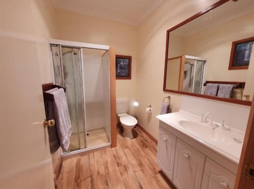 W łazience znajduje się prysznic, umywalka i toaleta. w obiekcie Ruby's Cottage Farm Stay w mieście Port Arthur