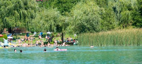 a group of people swimming in a body of water at Ferienhaus Holzer in Egg am Faaker See