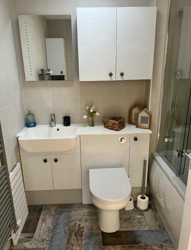 a bathroom with a toilet and a sink at Captains Quarters in Charlestown