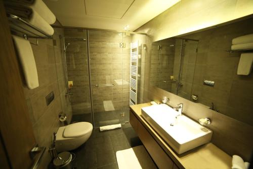 La salle de bains est pourvue d'un lavabo, de toilettes et d'une douche. dans l'établissement Le Grand Chalet Zaarour, à Zaarour