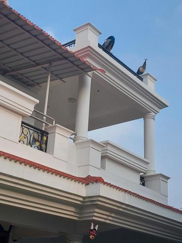 two birds sitting on top of a house at Shri Sai Baba Homestay - EB Colony - Trichy in Tiruchchirāppalli