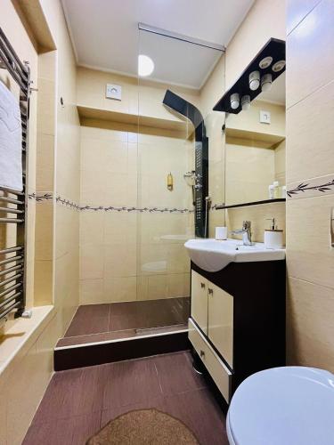 a bathroom with a shower and a sink and a toilet at Helia Apartment in Galaţi
