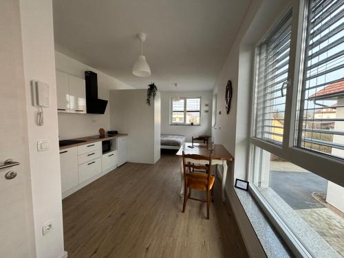 Apartmaji Čeponにあるキッチンまたは簡易キッチン
