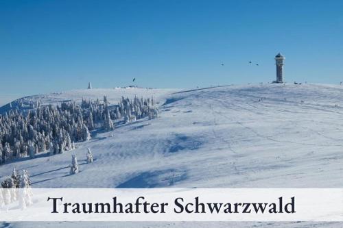 pokryte śniegiem wzgórze z latarnią morską w obiekcie Apartment Seelenruhe Falkau 1 w mieście Feldberg