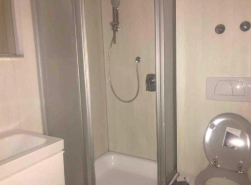 W łazience znajduje się prysznic, toaleta i umywalka. w obiekcie Apartment Seelenruhe Falkau 1 w mieście Feldberg