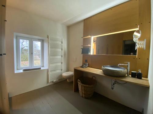 un bagno con lavandino, water e specchio di Tailor's Trail gîte d'adventure Beaufort Mullerthal a Beaufort