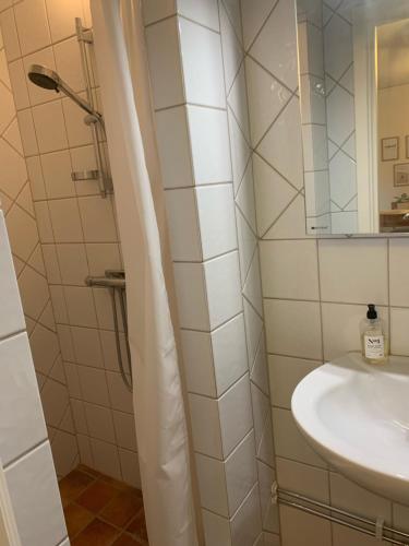 a bathroom with a sink and a mirror at Strandlägenhet Byxelkrok, Öland in Byxelkrok
