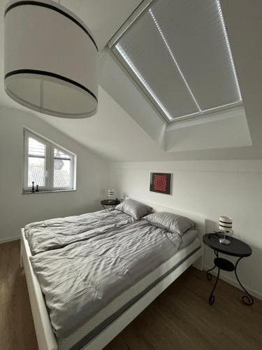 リュブリャナにあるApartmaji Čeponの天窓付きの大きなベッドのある寝室