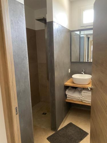 une salle de bain avec un lavabo et un miroir dans l'établissement Villa avec piscine 3 étoiles proche plages, à Monacia-dʼAullène