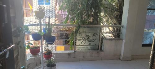 a balcony with potted plants and a gate at chirayu home stay in Ujjain