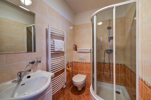 La salle de bains est pourvue de toilettes, d'un lavabo et d'une douche. dans l'établissement Apartmány u Adama, à Rokytnice v Orlických Horách