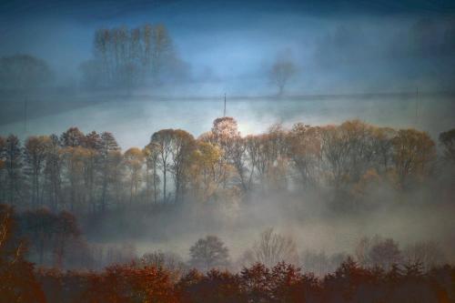 a painting of a foggy forest with trees at Tři domky - tiny houses in Děpoltice