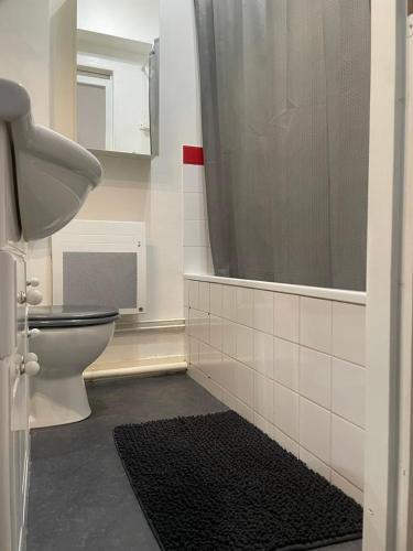 une salle de bain avec toilettes et douche dans l'établissement Les yeux du lac, à Gérardmer