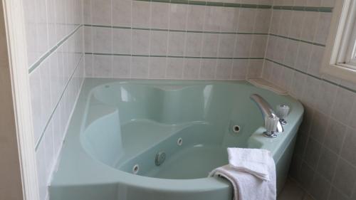 a bathroom with a bath tub with a sink at Budget Motor Inn- Stony Point in Stony Point