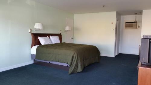 a hotel room with a bed and a television at Budget Motor Inn- Stony Point in Stony Point