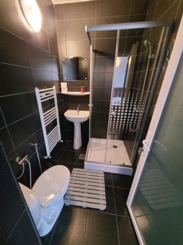 a bathroom with a shower and a toilet and a sink at Pensiunea Trei Brazi in Târgu Ocna