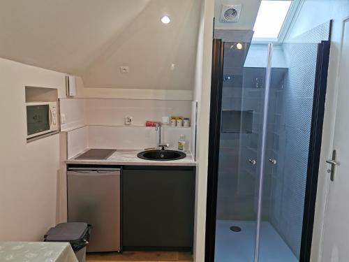 Il comprend une petite cuisine avec un évier et une douche. dans l'établissement Chopin, à Les Haies