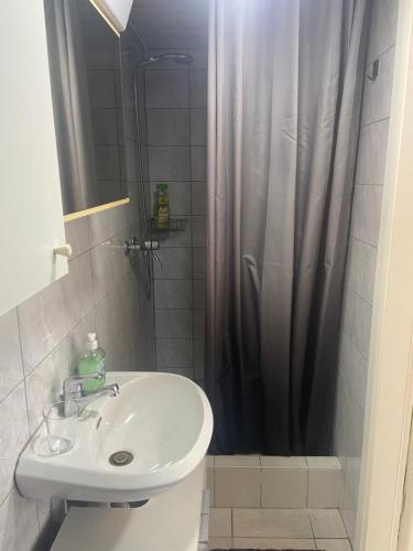La salle de bains est pourvue d'un lavabo et d'une douche. dans l'établissement Le Sami, à Lausanne