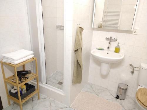 a white bathroom with a shower and a sink at Apartmán Špuntárna in Polná