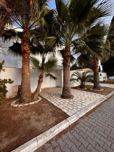 a group of palm trees on a brick walkway at Villa Carthage - Proche Mer in Dar Salah Bey