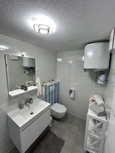 uma casa de banho branca com um WC e um lavatório em Apartma Tayana Piran - "Epicentre Old Town" em Piran