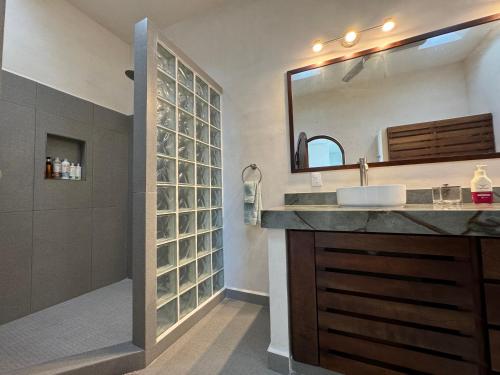 een badkamer met een wastafel en een douche met een spiegel bij Playanet in Chelem