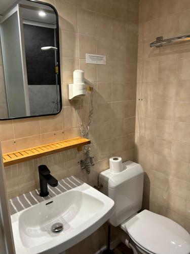 a bathroom with a sink and a toilet and a mirror at Hôtel & Restaurant Le Patio VICHY in Vichy