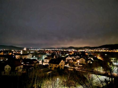a view of a city at night with lights at Panorama Apart Bad Säckingen in Bad Säckingen