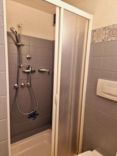 a bathroom with a shower with a tub and a toilet at Panorama Apart Bad Säckingen in Bad Säckingen