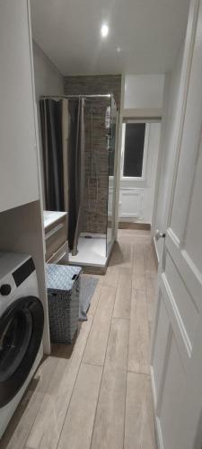 une salle de bain avec douche et machine à laver dans l'établissement Studio 2 pièce charmant et calme, à Boulogne-Billancourt