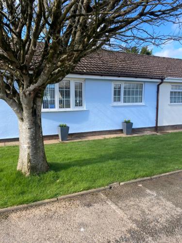 a white house with a tree in front of it at 44 Gower holiday village Ty Gŵyr Cosy 2 bedroom Chalet with a seasonal indoor pool in Swansea