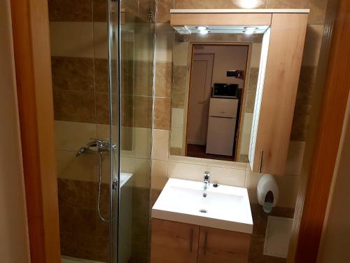 a bathroom with a sink and a shower with a mirror at Apartment Dora in Gornji Karin