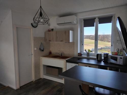 Kuchyň nebo kuchyňský kout v ubytování Le Studio du Brochy