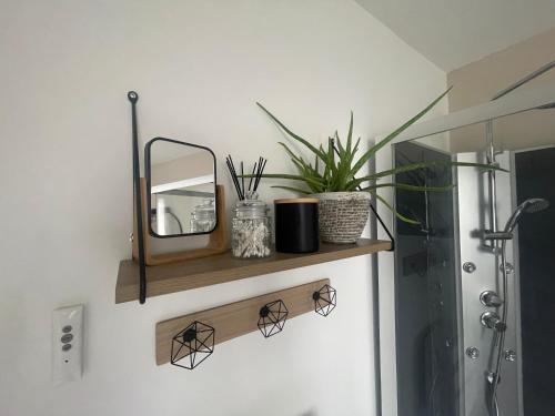 ein Badezimmer mit einem Spiegel und einem Regal mit Pflanzen in der Unterkunft Appartement indépendant en RDC in Lannemezan