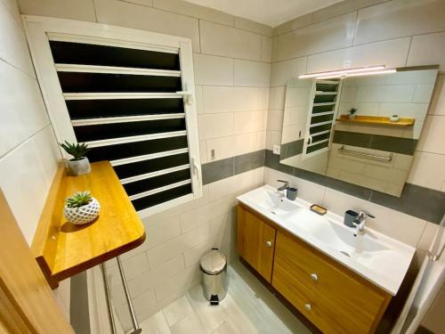 a bathroom with a sink and a mirror at Ti case fleur letchi - cadre calme et agréable, 15 min des plages in Les Avirons
