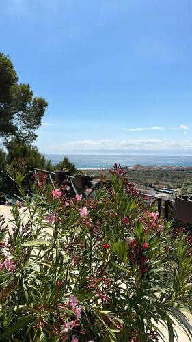 Green Houses of L'Estartit