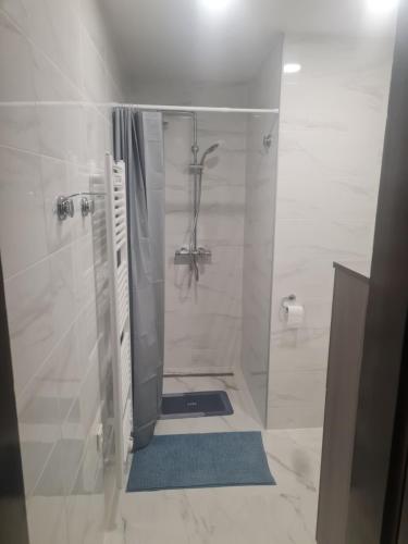 y baño con ducha y cortina de ducha. en Skala en Rečica ob Savinji