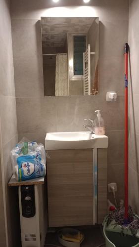 a bathroom with a sink and a mirror at Habitaciones en apartamento compartido de Pozuelo de Alarcón in Pozuelo de Alarcón