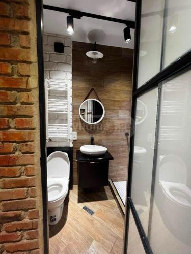 ein Badezimmer mit einem WC, einem Waschbecken und einem Spiegel in der Unterkunft Apartment in Tbilisi Dadiani 3 in Tbilisi City