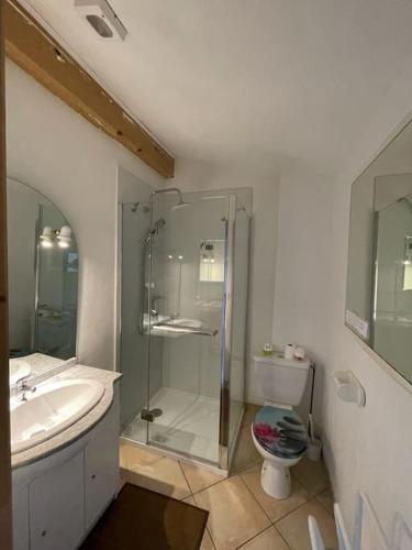 une salle de bain avec une douche, un lavabo et des toilettes dans l'établissement Mes vacances dans la garrigue, à Vacquières
