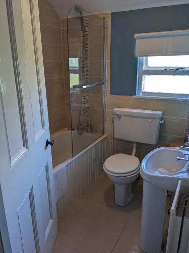 a bathroom with a toilet and a sink and a shower at Cosy cottage with sea & mountain views Carnlough in Carnlough