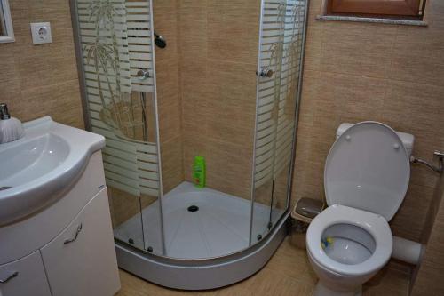 a bathroom with a shower and a toilet and a sink at Casa Vădeanu in Sighetu Marmaţiei