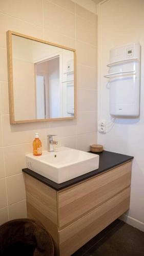 une salle de bain avec un lavabo et un miroir dans l'établissement Les Lacets du Lièvre Appartement, Rez-de-jardin, Terrasse, à Romans-sur-Isère